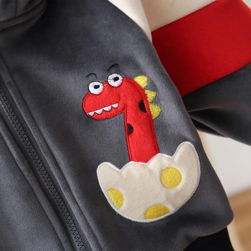 Boys 3 Suits Born Dinosaur Hooded Long Sleeves Top & Pants Wholesale Boys Clothes