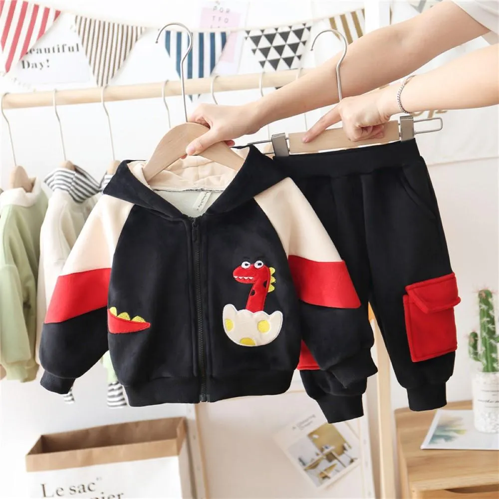 Boys 3 Suits Born Dinosaur Hooded Long Sleeves Top & Pants Wholesale Boys Clothes