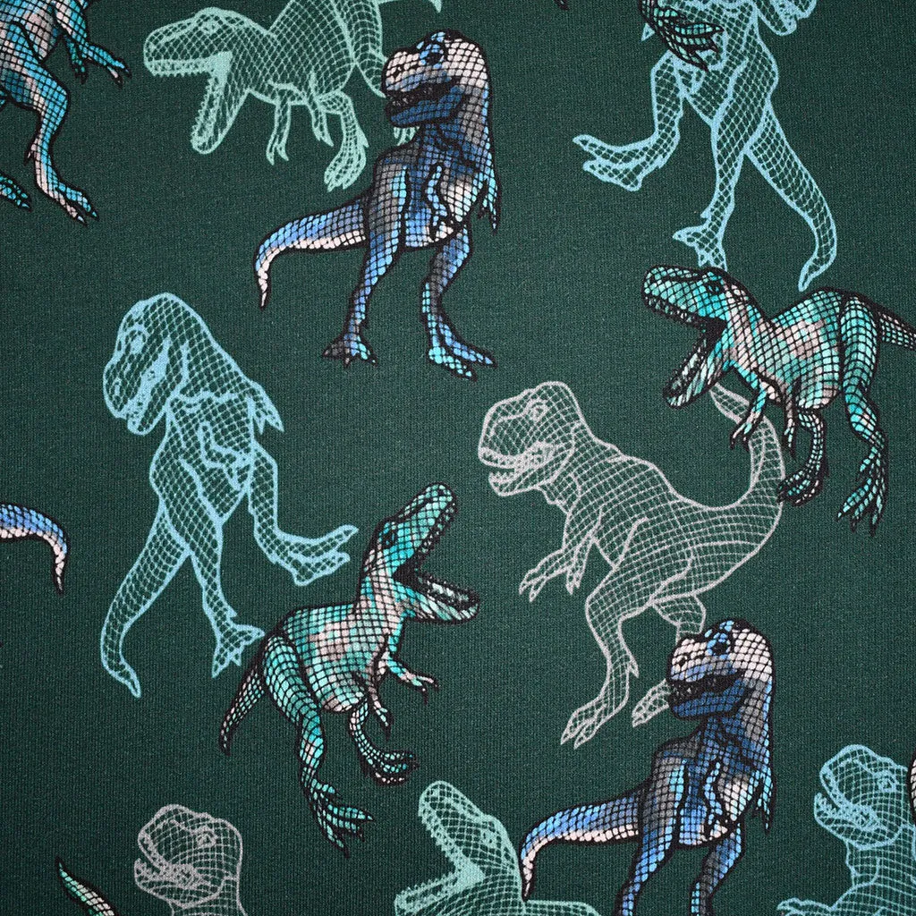 Dinosaur Animation Digital Print Light Sweatshirt Fleece Evergreen