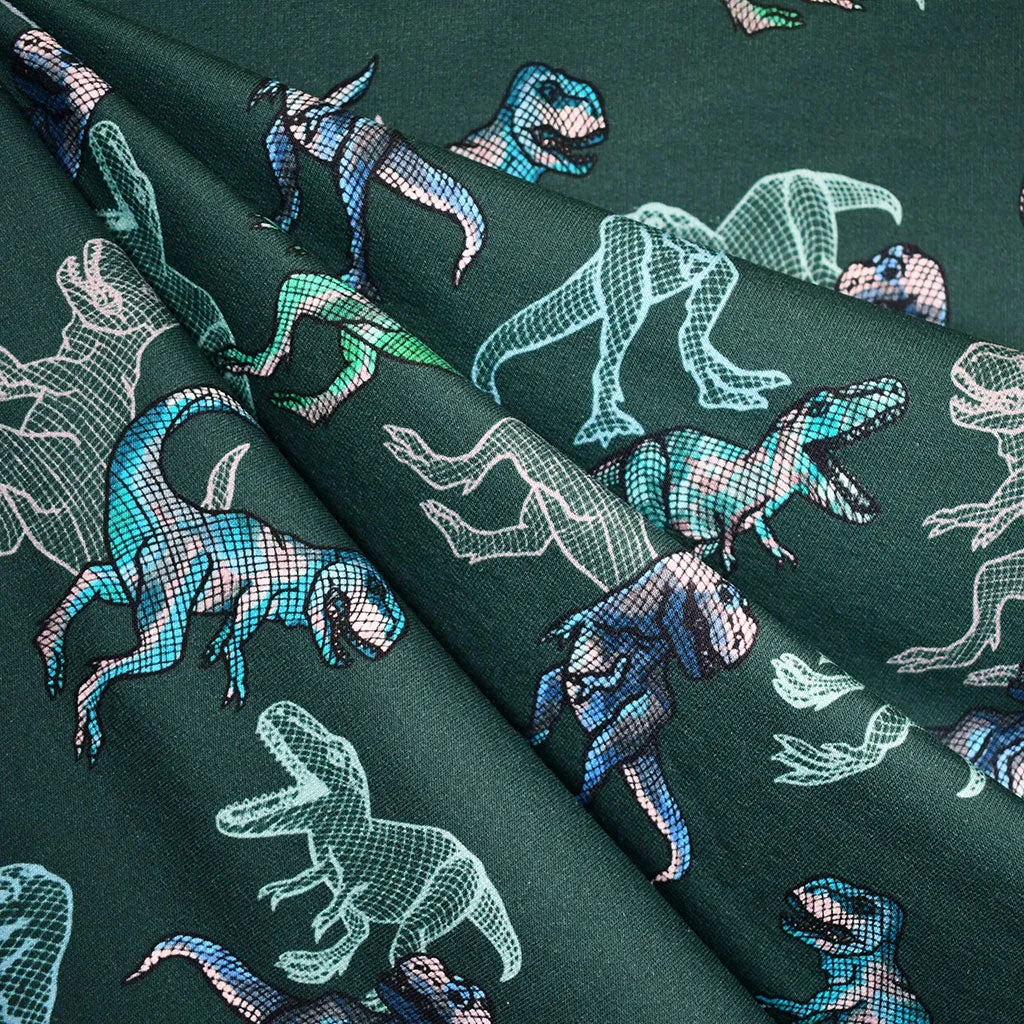 Dinosaur Animation Digital Print Light Sweatshirt Fleece Evergreen