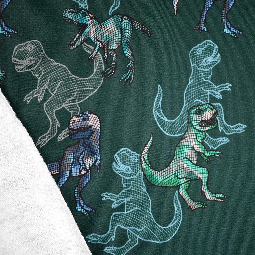 Dinosaur Animation Digital Print Light Sweatshirt Fleece Evergreen