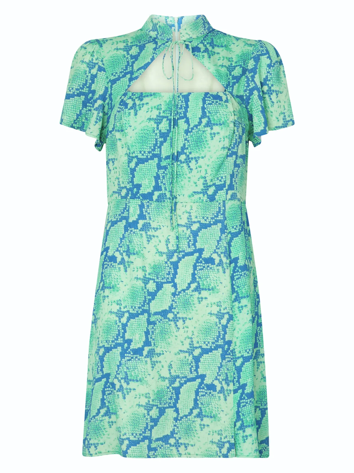 Imogen Blue Snake Print Mini Dress