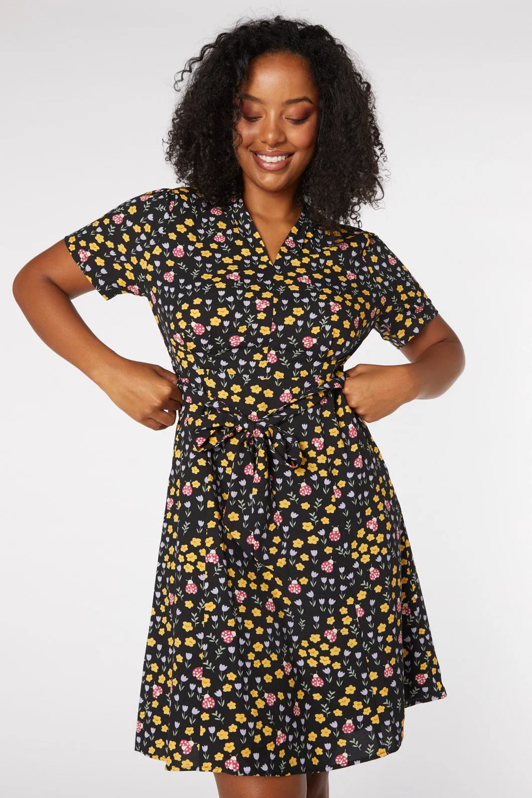 Ladybug Dress