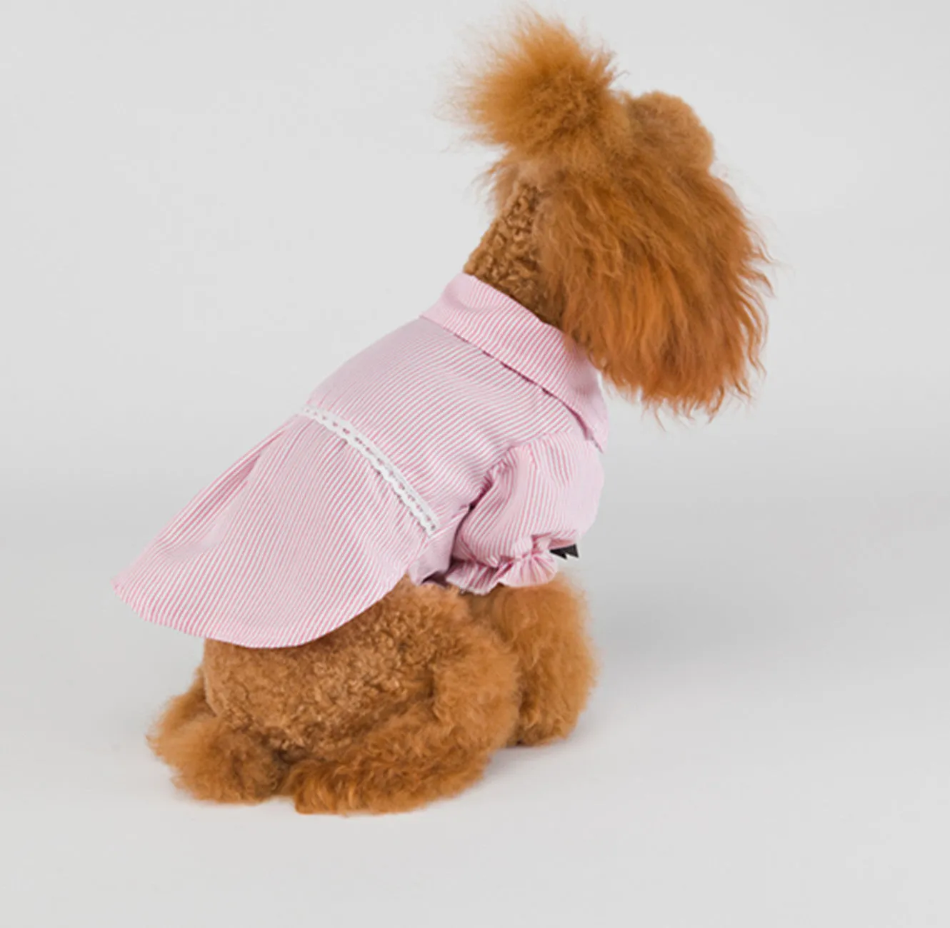 Stripe Fabulously Stylish Shirt for Dog